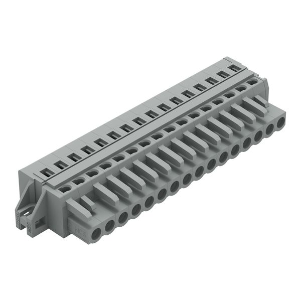 1-conductor female connector CAGE CLAMP® 2.5 mm² gray image 2