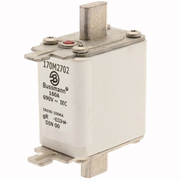 Fuse-link, high speed, 160 A, AC 690 V, DIN 00, 30 x 60 x 79 mm, gR, DIN, IEC, single indicator image 2