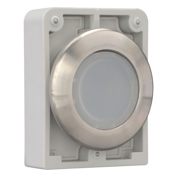 Illuminated pushbutton actuator, RMQ-Titan, flat, maintained, White, blank, Front ring stainless steel image 14