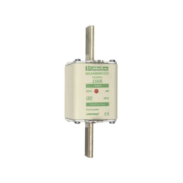 Fuse-link NH2 aM 690VAC 250A live tags Double indicator image 2