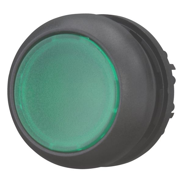 Illuminated pushbutton actuator, RMQ-Titan, Flush, maintained, green, Blank, Bezel: black image 3