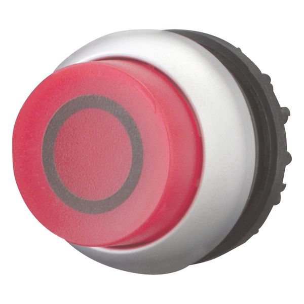 Illuminated pushbutton actuator, RMQ-Titan, Extended, momentary, red, inscribed, Bezel: titanium image 3