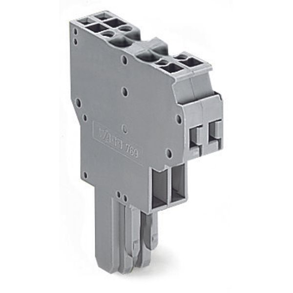 2-conductor female connector CAGE CLAMP® 4 mm² gray image 1