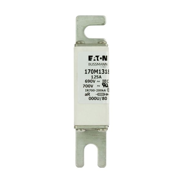 Fuse-link, high speed, 125 A, AC 690 V, DIN 000, 21 x 40 x 100 mm, aR, DIN, IEC image 11