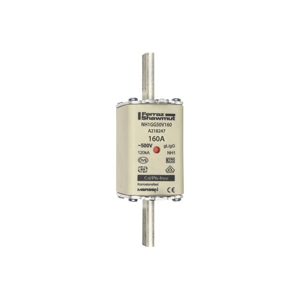 Fuse-link NH1 gG 500VAC 160A live tags Double indicator image 1