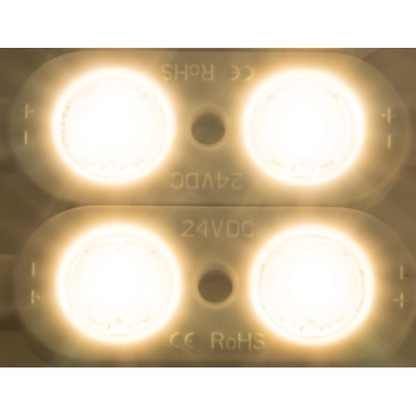LED module ensures Twin 12 WW (Warm white)  IP65  CRI/RA 90+ image 1