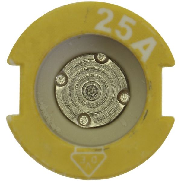 Gauge piece, LV, 25 A, AC 500 V, D2, IEC image 4