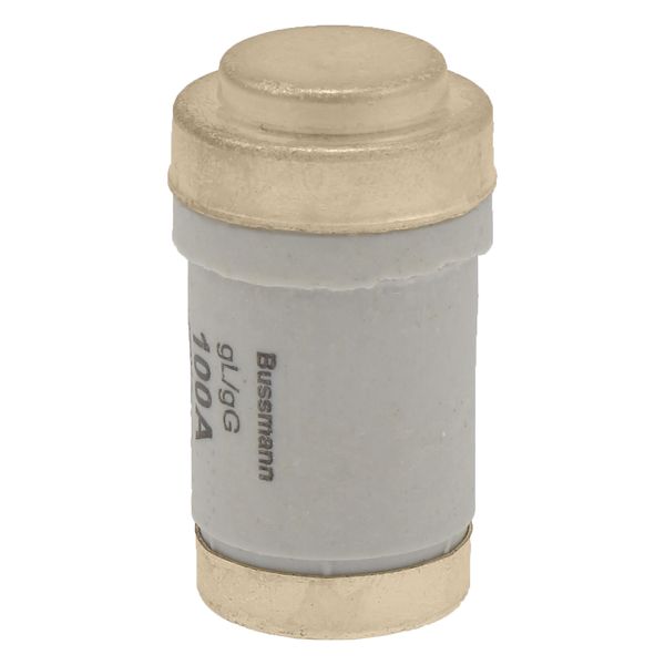 Fuse-link, LV, 100 A, AC 400 V, D03, gL/gG, IEC, time-delay image 9