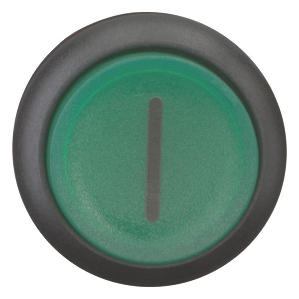 Illuminated pushbutton actuator, RMQ-Titan, Extended, momentary, green, inscribed, Bezel: black image 10