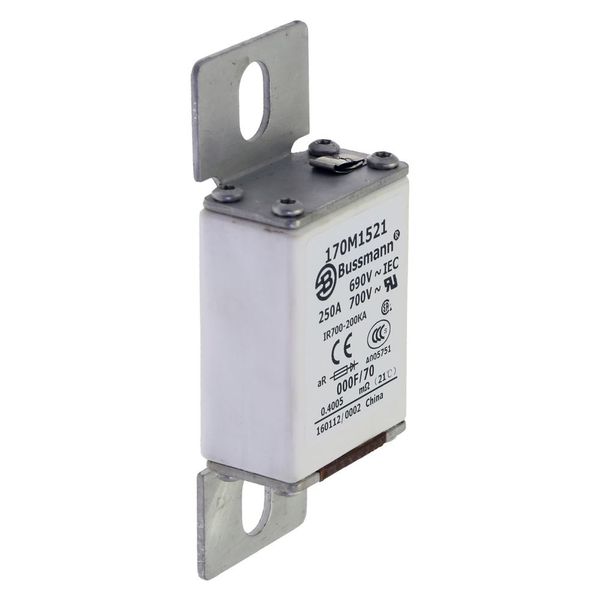 Fuse-link, high speed, 250 A, AC 690 V, size 000, 24 x 36 x 96 mm, aR, IEC, visual indicator image 17