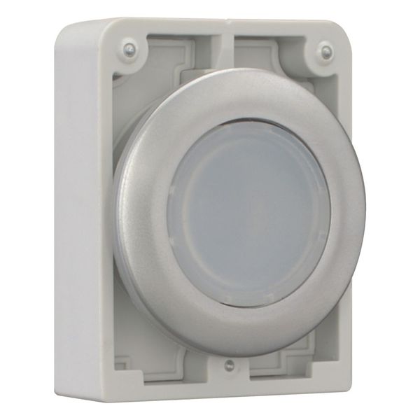 Illuminated pushbutton actuator, RMQ-Titan, Flat, maintained, White, Blank, Metal bezel image 6