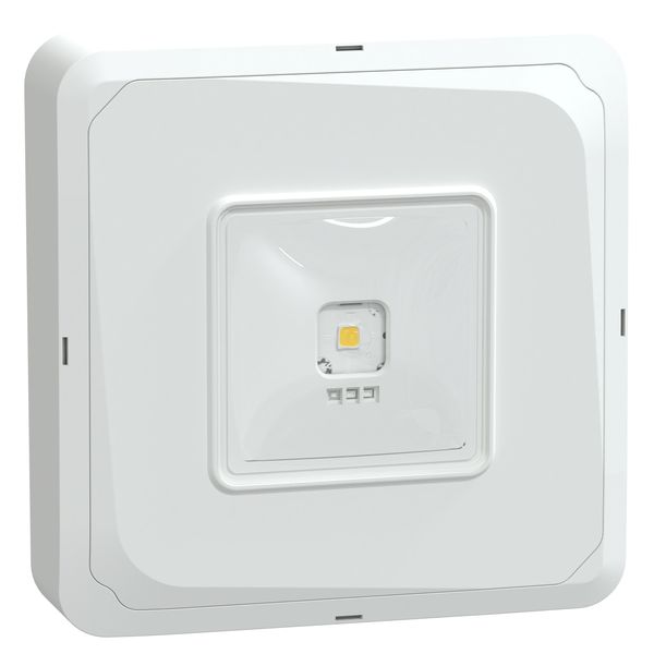 Emergency lighting, exiway, exiway smartbeam, EPC Control, IP65, white image 3