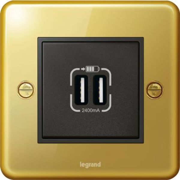 Synergy Authentic 1 Gang 2400mA Double USB Socket Type-A Gold image 1