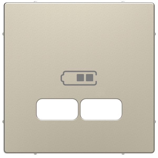 System Design central plate USB charger sahara image 1
