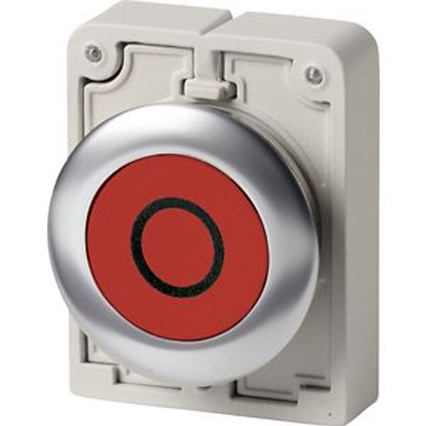 Pushbutton, RMQ-Titan, flat, momentary, red, inscribed, Front ring stainless steel image 2