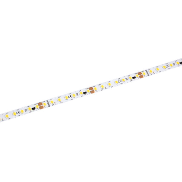 LED Star Strip 1700, LED STRIP 1700 S 830/24V IND image 3
