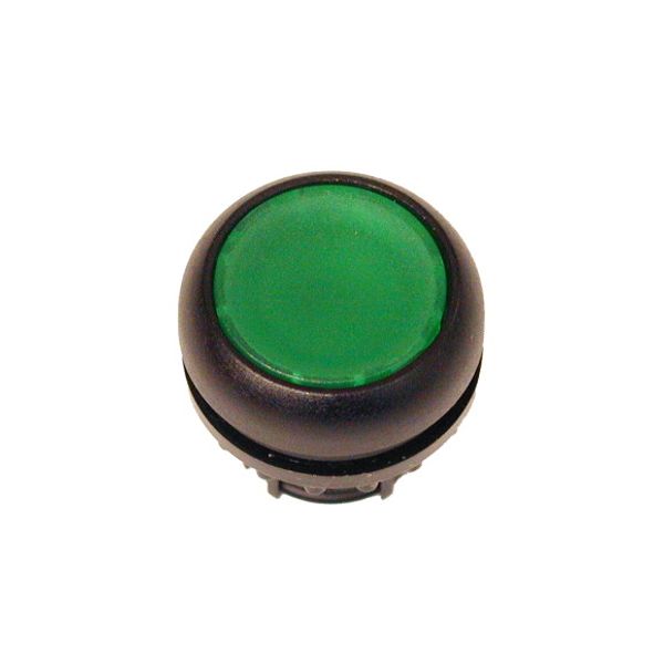 Illuminated pushbutton actuator, RMQ-Titan, Flush, maintained, green, Blank, Bezel: black image 1