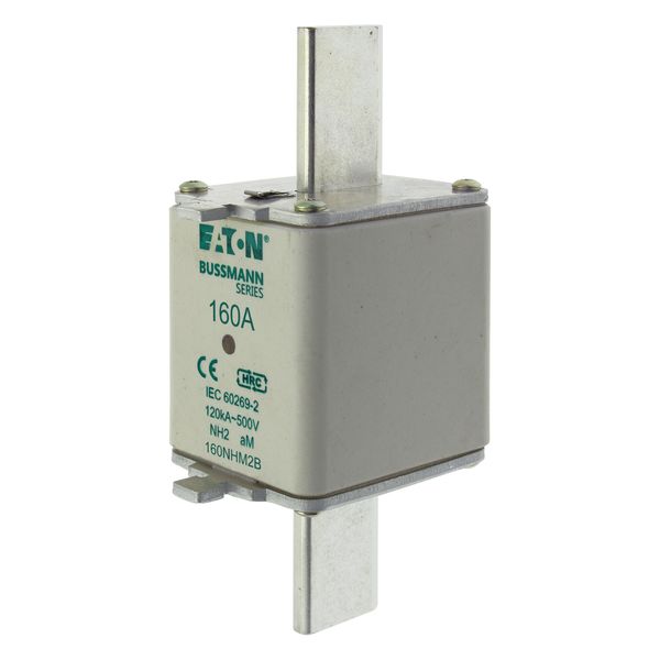 Fuse-link, low voltage, 160 A, AC 500 V, NH2, aM, IEC, dual indicator image 6