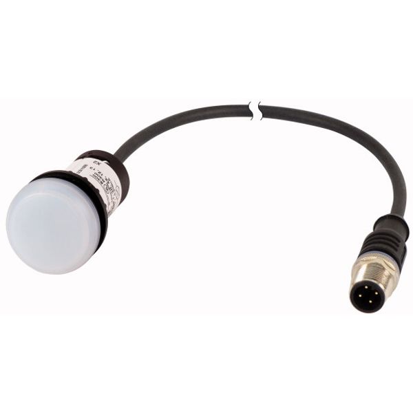Indicator light, Flat, Cable (black) with M12A plug, 4 pole, 0.2 m, Lens white, LED white, 24 V AC/DC image 1