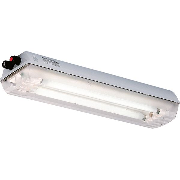 Ex-Linear light fitting with emergency light function for zone 1/21, Variant: eLLK 92018/18 V-CG-S 2/6-2K image 6