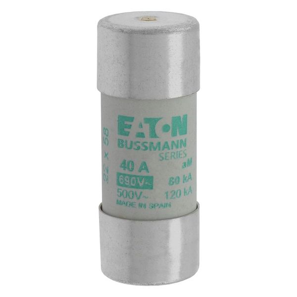 Fuse-link, LV, 40 A, AC 690 V, 22 x 58 mm, aM, IEC, with striker image 18