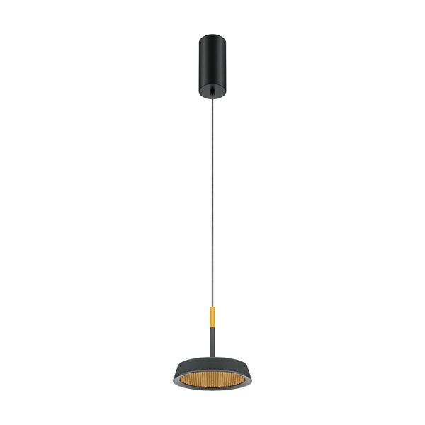 Modern El Pendant lamp Черный и Золото image 1