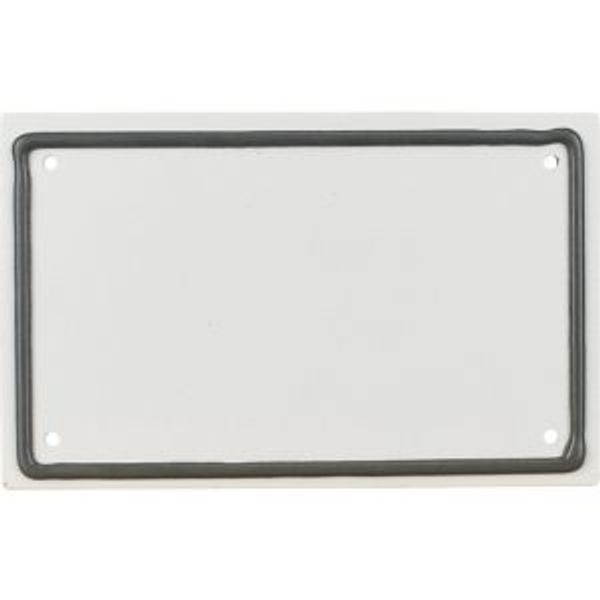 Flange plate, IP66, metal, blind image 2