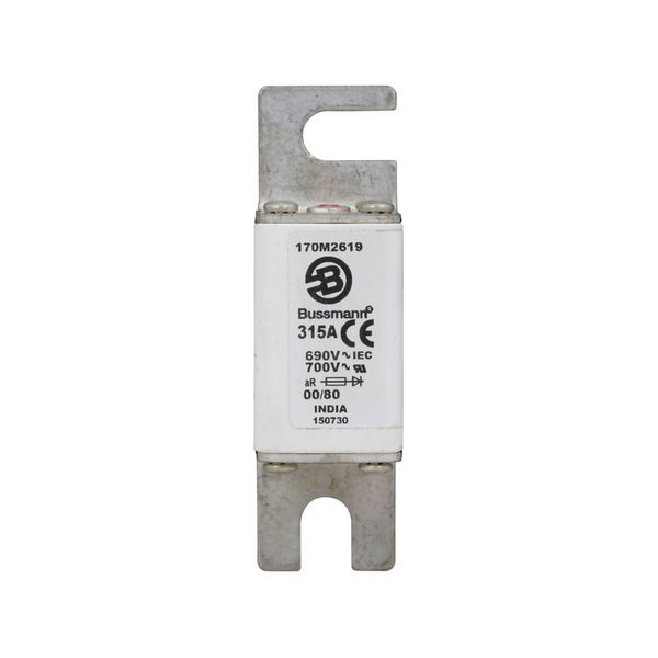 Fuse-link, high speed, 315 A, AC 690 V, DIN 00, 30 x 51 x 100 mm, aR, DIN, IEC, single indicator image 2