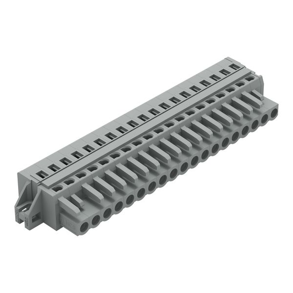 1-conductor female connector CAGE CLAMP® 2.5 mm² gray image 2