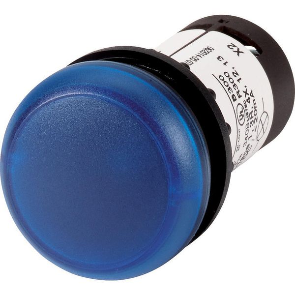 Indicator light, Flat, Screw connection, Lens Blue, LED Blue, 120 V AC image 2