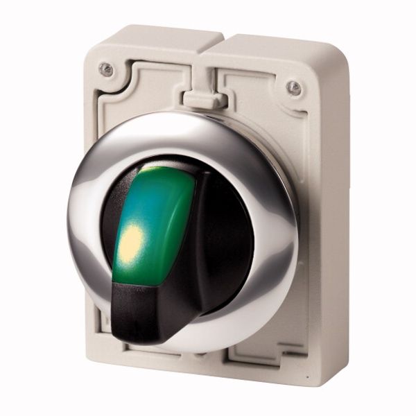 Illuminated selector switch actuator, RMQ-Titan, With thumb-grip, maintained, 3 positions, green, Metal bezel image 1