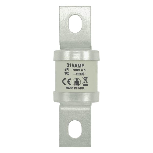 5.5KV 125E BHLE FUSE image 13