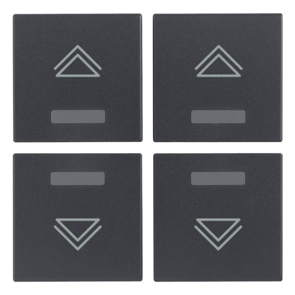 Four half-buttons 1M regul.symbol grey image 1