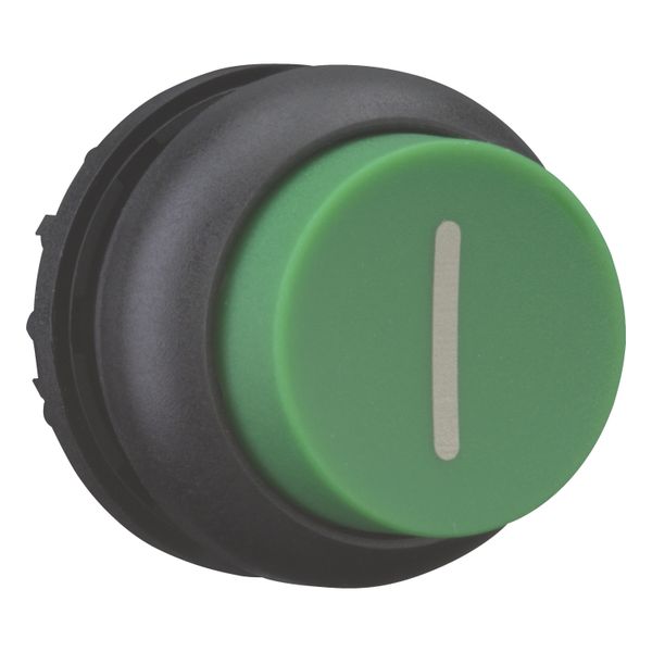 Pushbutton, RMQ-Titan, Extended, maintained, green, inscribed, Bezel: black image 7