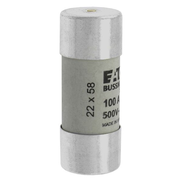 Fuse-link, LV, 100 A, AC 500 V, 22 x 58 mm, gL/gG, IEC, with striker image 20