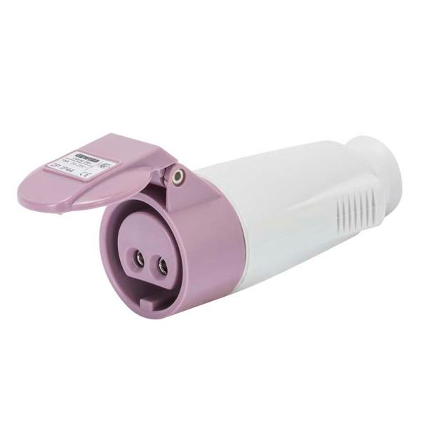 STRAIGHT CONNECTOR - IP44 - 2P 16A 20-25V 50-60HZ - VIOLET - n.r. - SCREW WIRING image 2