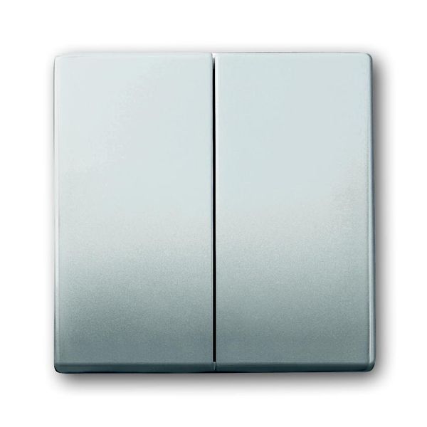 1785-866 CoverPlates (partly incl. Insert) pure stainless steel Stainless steel image 1