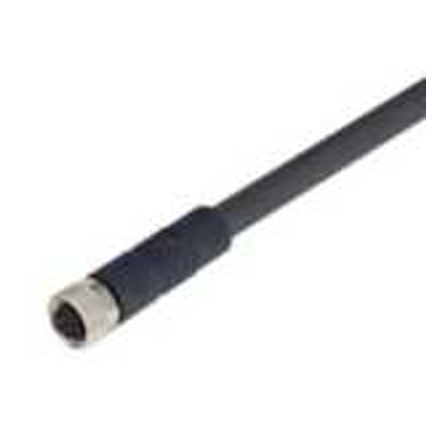 Female cable connector for D41D, straight, screw type M8, 8 poles, PUR image 2