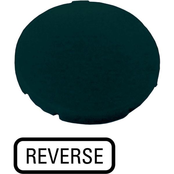 Button plate, flat black, REVERSE image 3