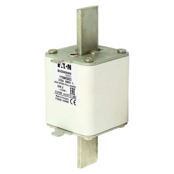 Fuse-link, high speed, 315 A, AC 690 V, DIN 2, 60 x 74 x 150 mm, gR, DIN, IEC, single indicator image 18