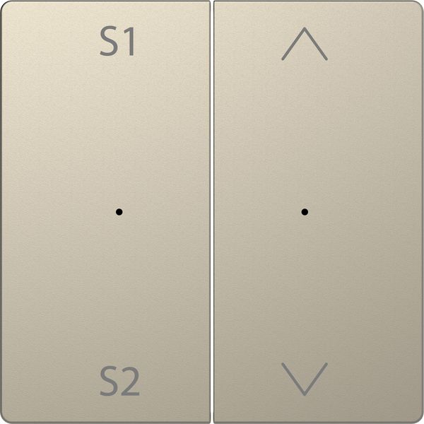 Rocker PBmod.2g(S1/S2+blank)sah SDsg image 1