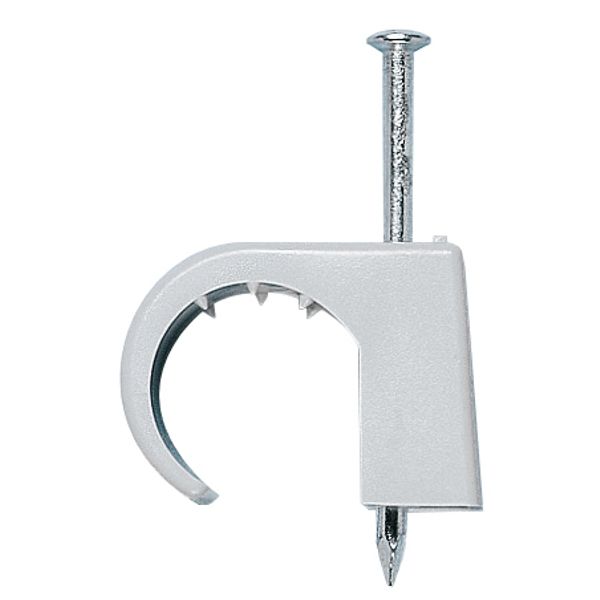 Wall nail clip with steel nail 4-7mm/2.0x25mm image 1