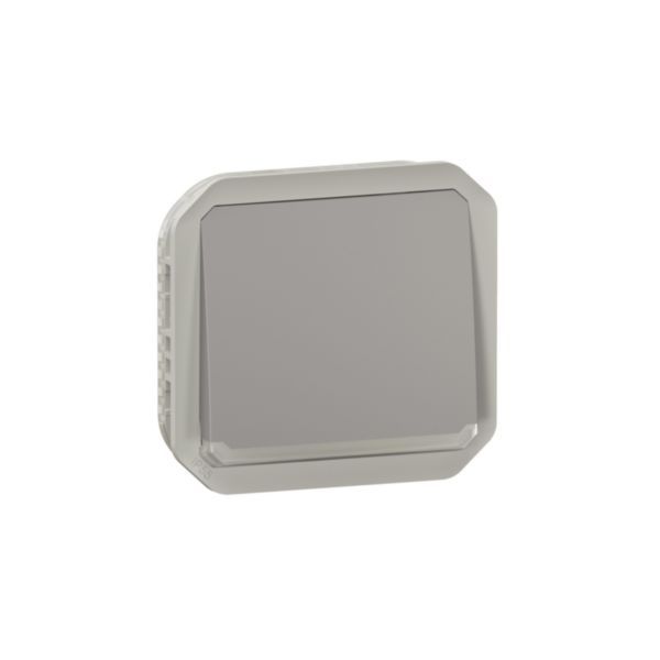 Plexo 10A waterproof illuminated pushbutton to be fitted with a gray finish case or support plate image 1