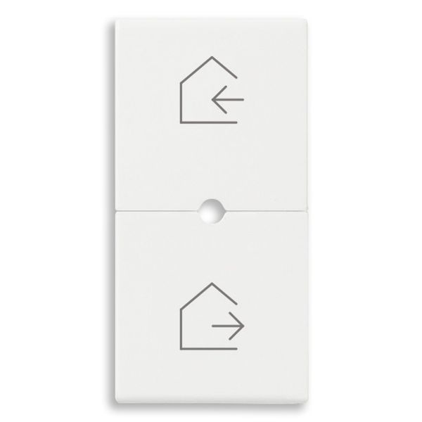 2 half buttons 1M scenario symbol white image 1