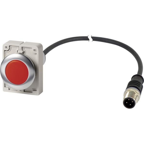 Indicator light, Flat, Cable (black) with M12A plug, 4 pole, 1 m, Lens Red, LED Red, 24 V AC/DC image 4