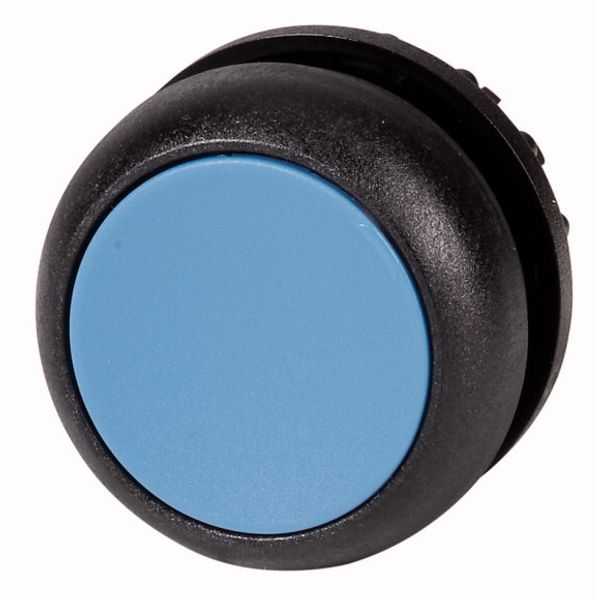 Pushbutton, RMQ-Titan, Flat, momentary, Blue, Blank, Bezel: black image 1