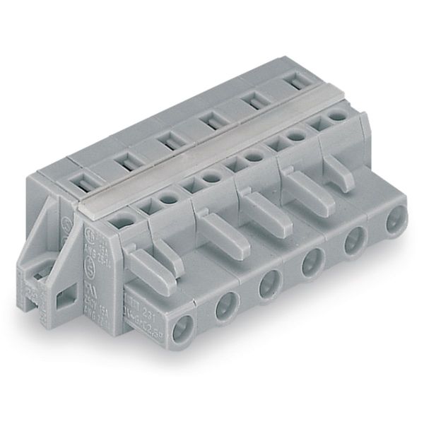 1-conductor female connector CAGE CLAMP® 2.5 mm² gray image 4