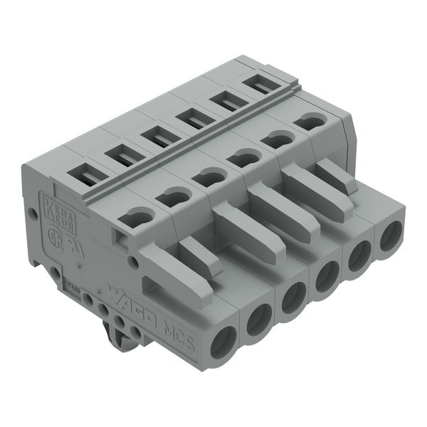 1-conductor female connector CAGE CLAMP® 2.5 mm² gray image 1