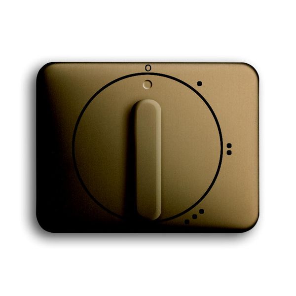 2542 DR/01-21 CoverPlates (partly incl. Insert) carat® bronze image 1