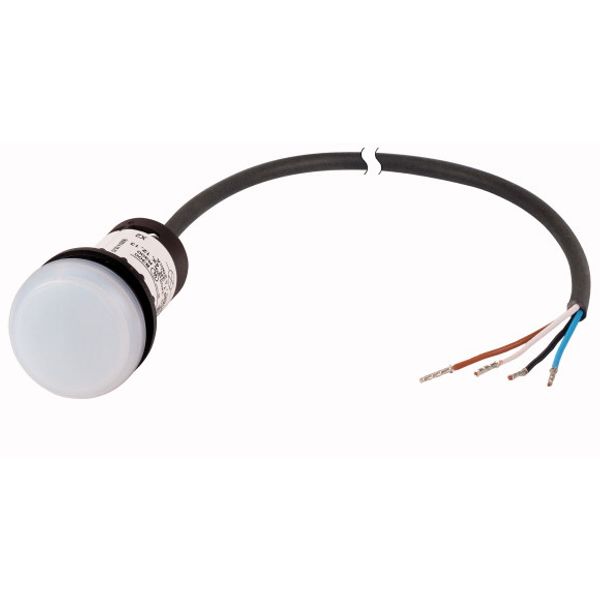 Indicator light, Flat, Cable (black) with non-terminated end, 4 pole, 1 m, Lens white, LED white, 24 V AC/DC image 1